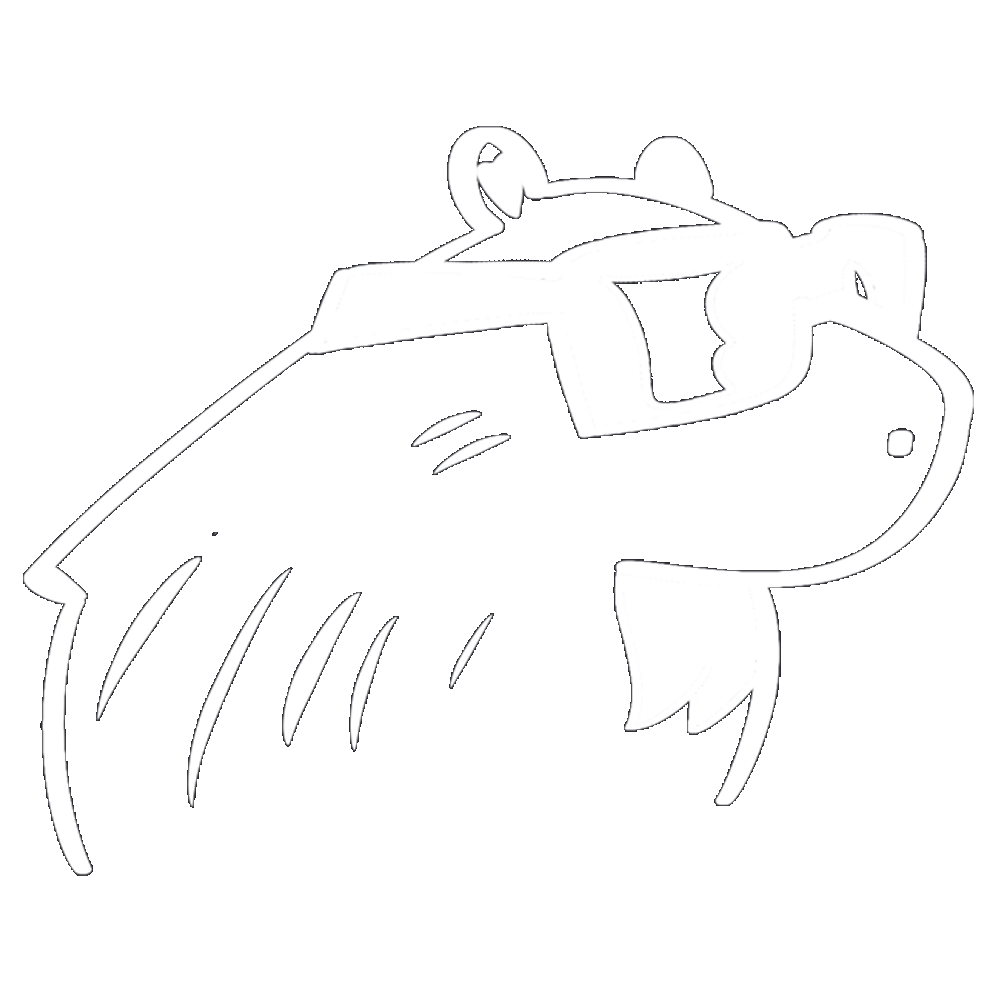 Durantt Bros: Software Development, Digital Innovation & Tech Solutions